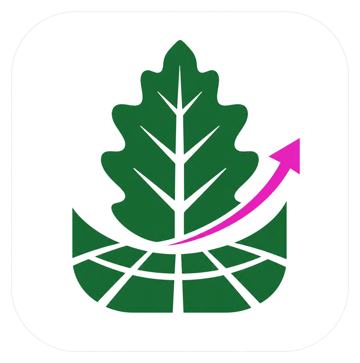 Elmfield Finance logo
